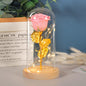 Valentines Day Gift  For Girlfriend Eternal Rose Flowers LED Light In Glass Cover Day Wedding Decoration Favors Mother Day Female Gift  Gift A&S Collection
