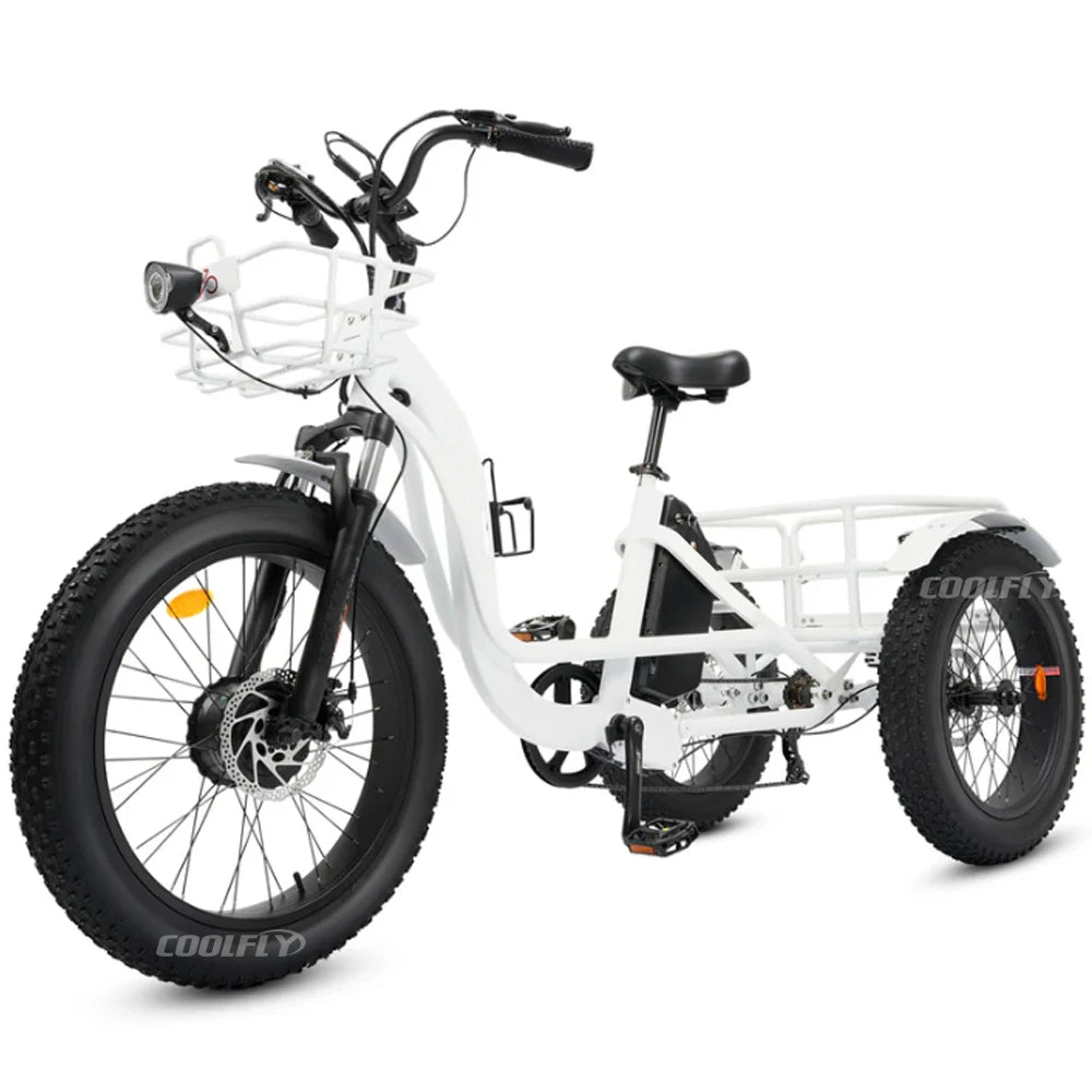 High Performance 48V 750W 1000W 24AH Wheels Tricycles 3 Wheel Electric Cargo Bike gsmFI
