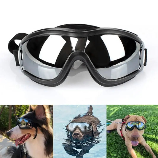 Dog glasses A&S Collection