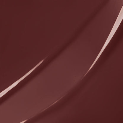 PHOFAY Hyaluronic Lip Gloss A&S Collection