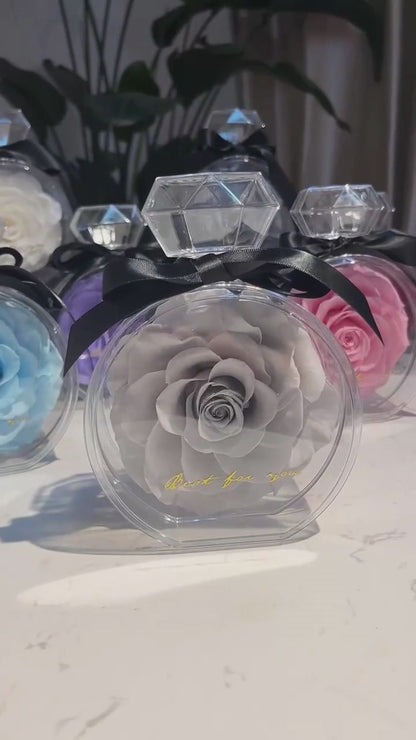 Natural Eternal Flower Ornaments Transparent Cover Dried Rose Gift Box For Christmas New Year Valentine's Day Home Decor