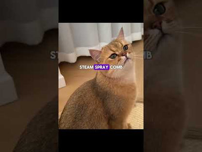 3 In 1 Pet Steam Brush Cat Dog Cleaning Steamy Spray Massage Beauty Comb Hair Removal Grooming Supplies Pets Accessories