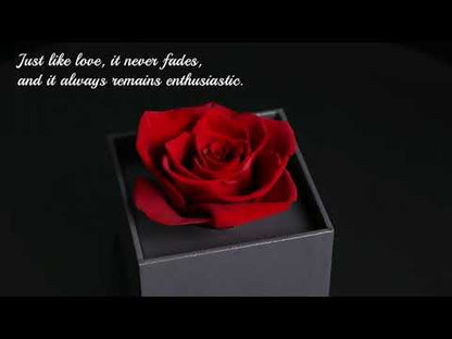 Eternal Flower Rose Jewelry Box for Birthday Presents Valentines Day Wedding Gift