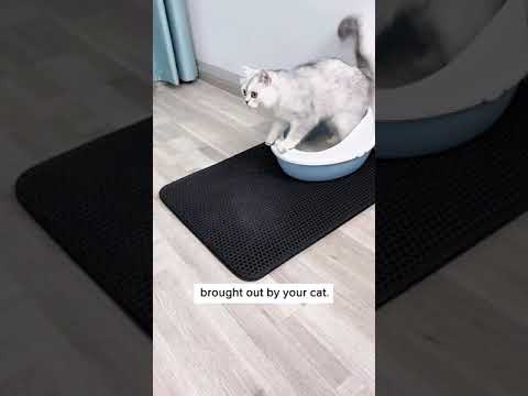 Pet Cat Litter Mat Pet Supplies EVA Double Cat Litter Mat