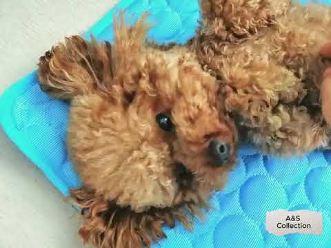 Ice Silk Cooling Pet Pad